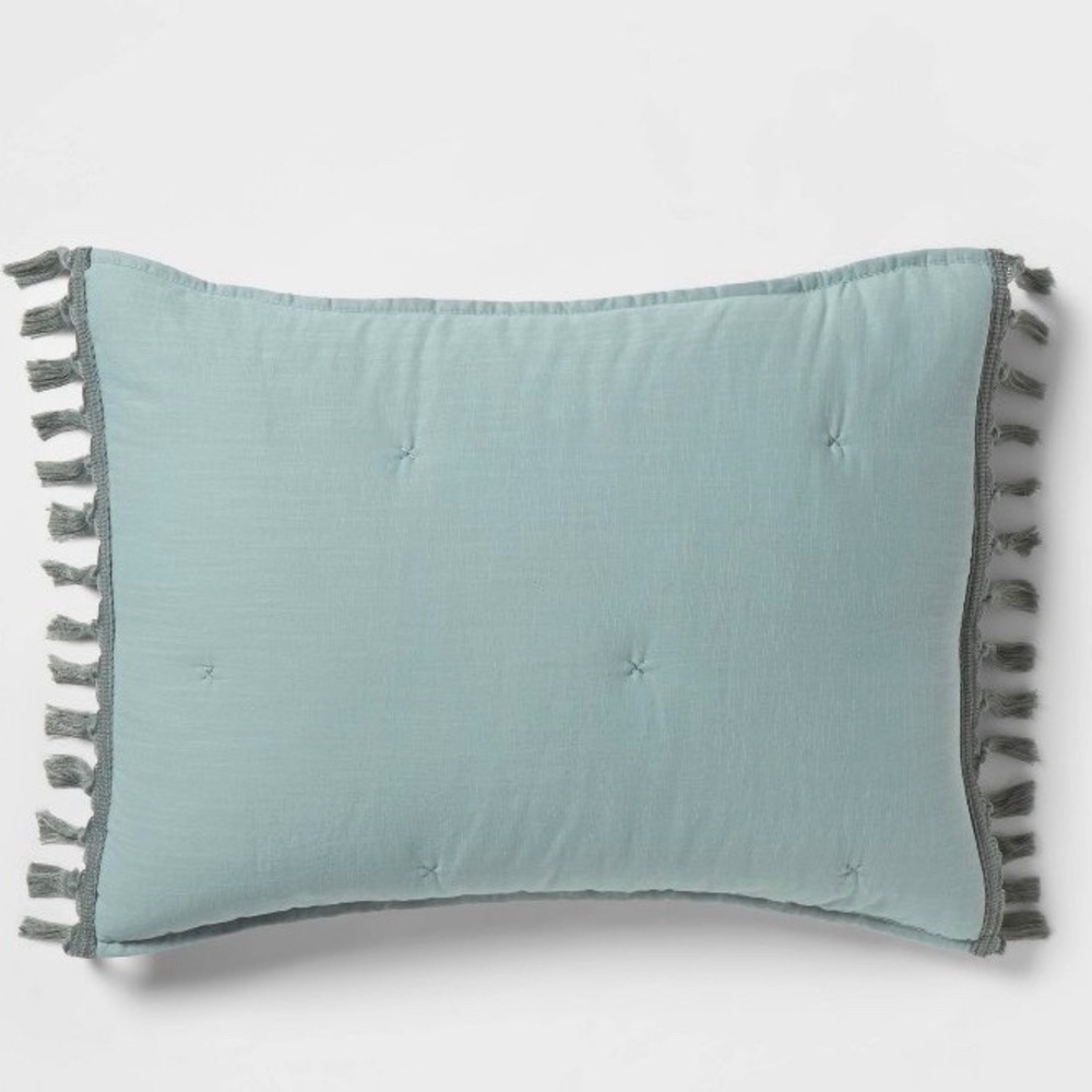 OPALHOUSE NWT Macrame Tassel Tufted Sham Mint Blue